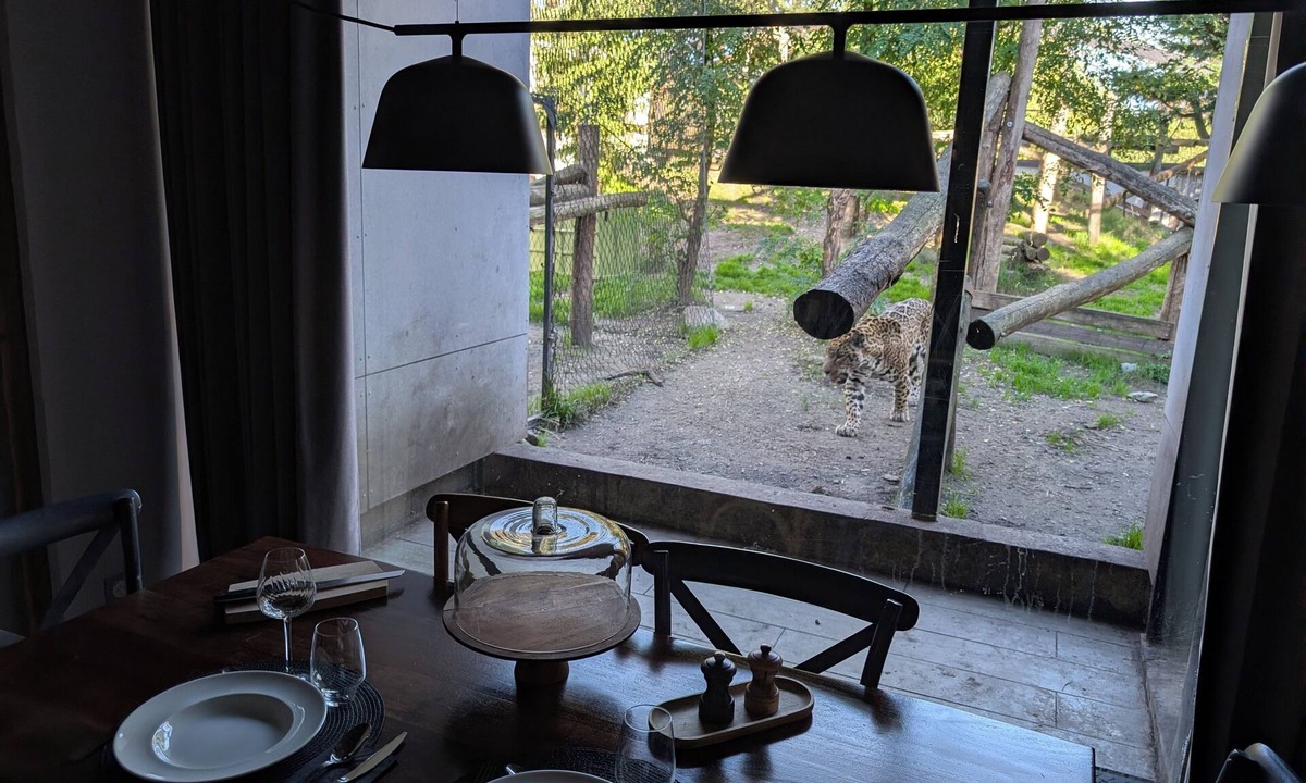 Pessac Cabin | Night Experience By Zoo Bordeaux Pessac