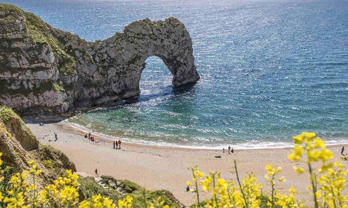 Holworth Cabin | Nightjar Cabin at Cloudshill Glade