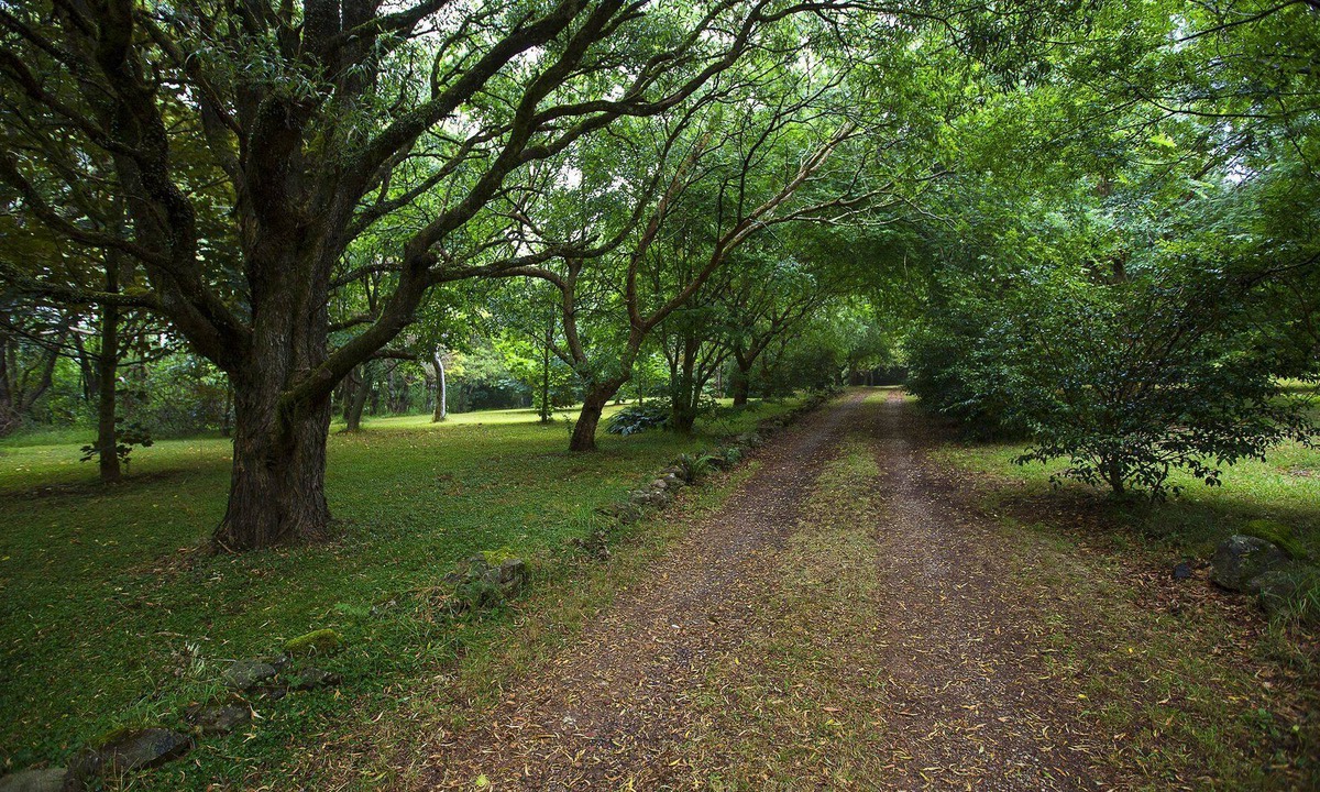 Mount Tomah House | NO LONGER AVAILABLE