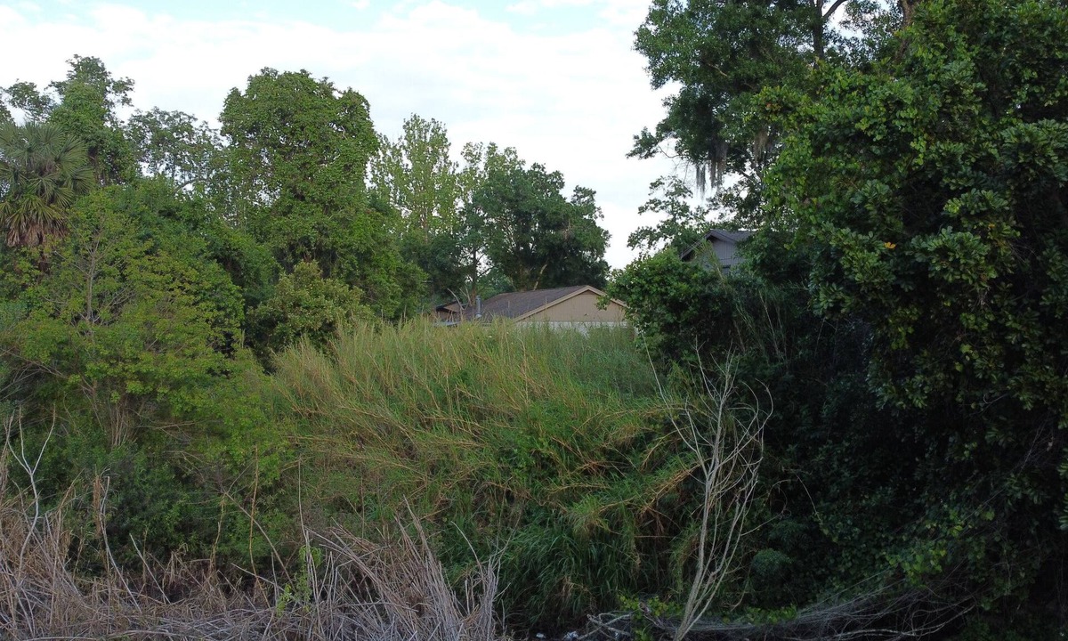 Palm Harbor House | No Longer for Res