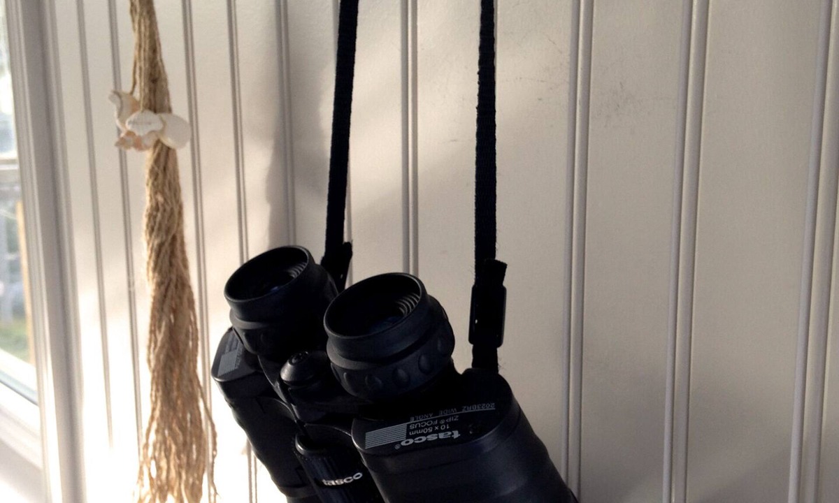 Petty Harbour Cottage | No Rentals