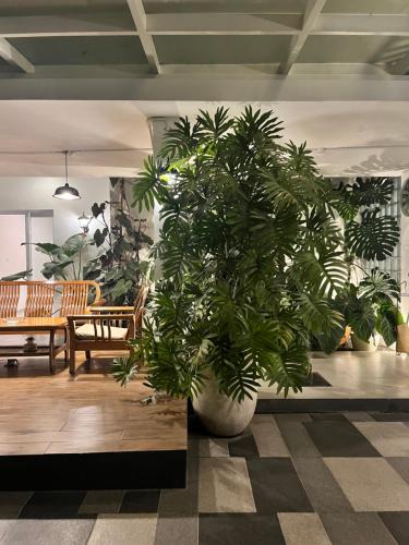 Bandung House | No303