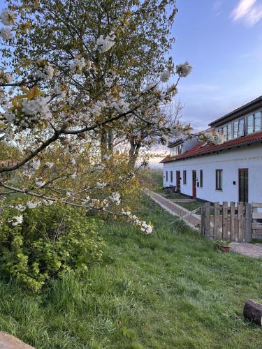 Skuldelev Apartment | Nordgården - ferie på landet