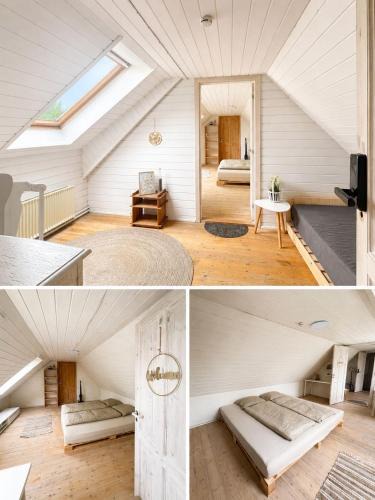 Snedsted House | Nordic Alpaca Farm Stay