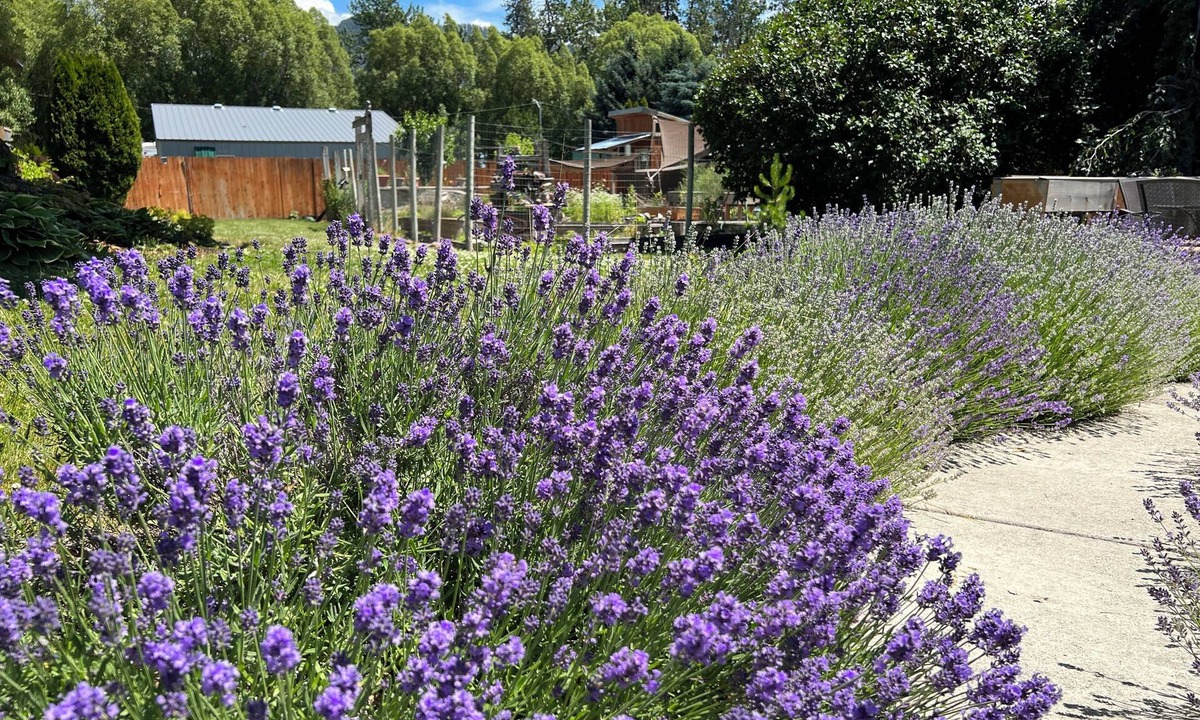 Chewelah Hotel | Nordlig Motel