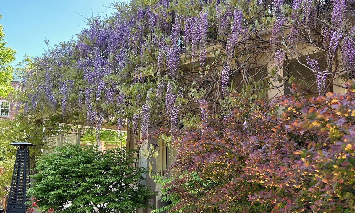 Guelph Bed & Breakfast | Norfolk Guest House