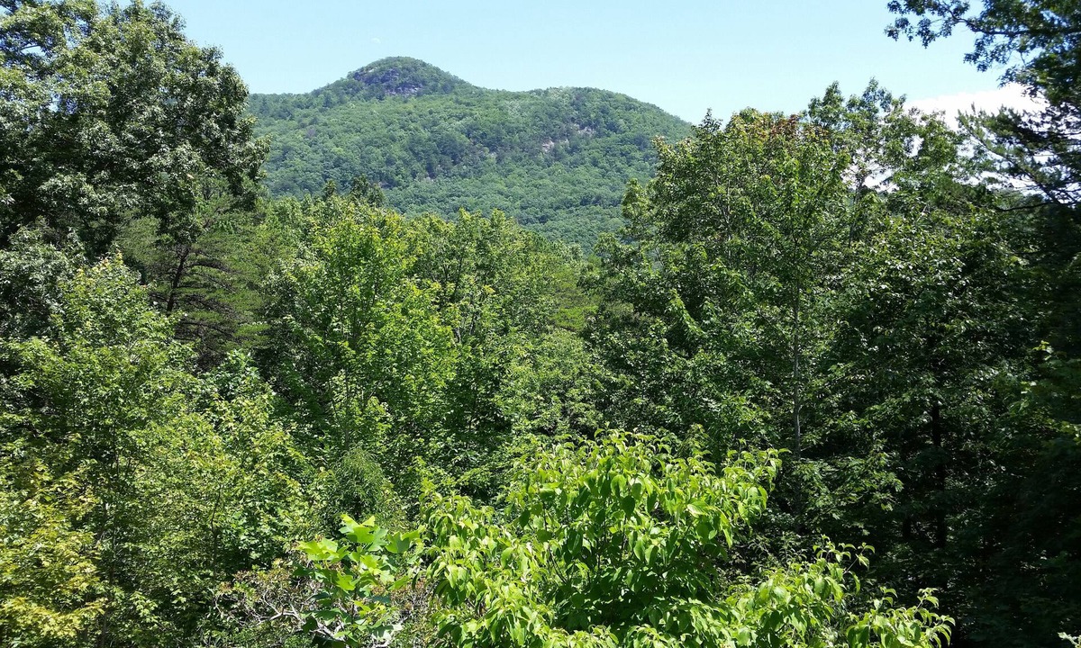 Clayton House | North Georgia Mountain Place