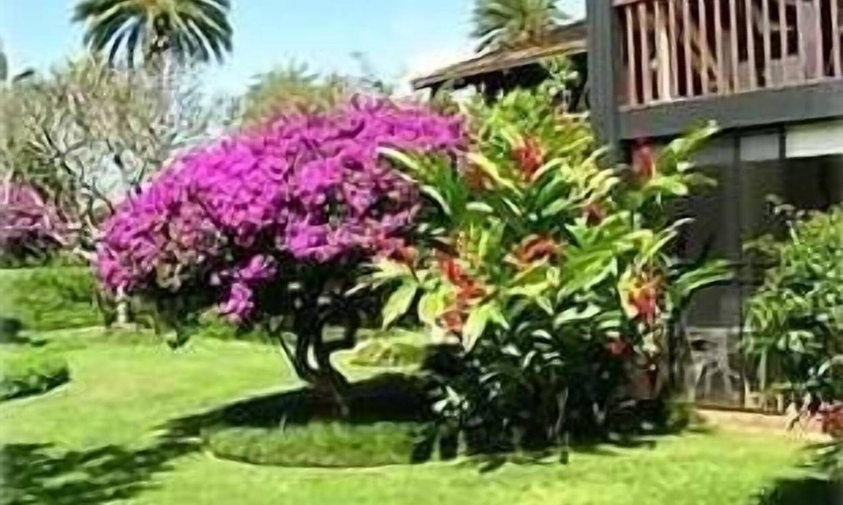 Kahuku Condo | Northshore Hawaiian Experience