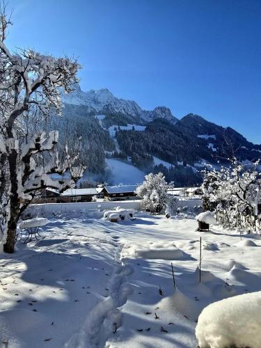 Rougemont Apartment | Nouveau à Rougemont - Gstaad Appartement dans Chalet 1830