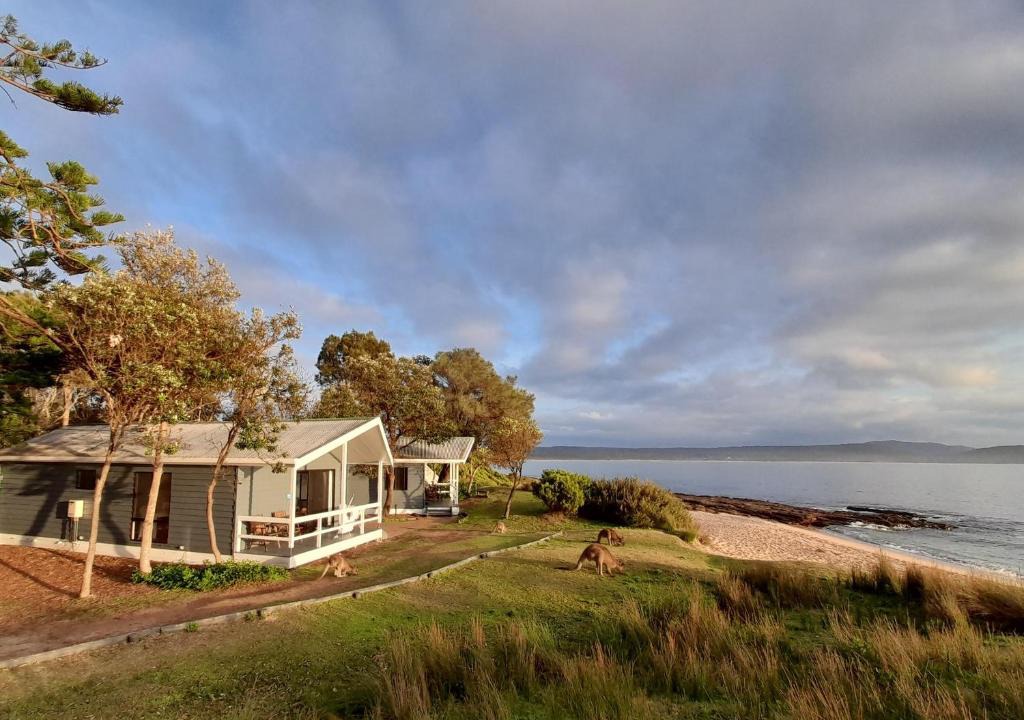 South Durras Resort | NRMA Murramarang Beachfront Holiday Resort