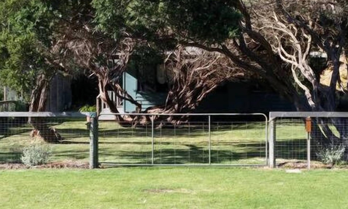 Sandy Point House | Ntaletiani Beach House