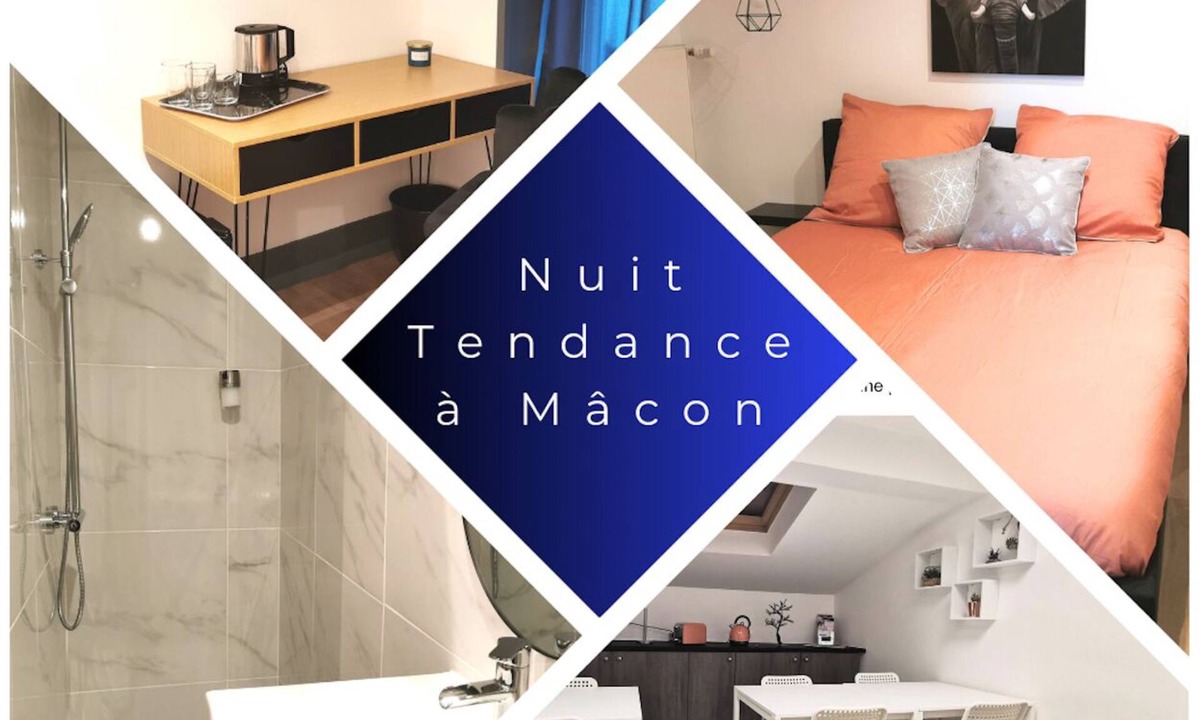 Macon Apartment | Nuit Tendance à Mâcon 4