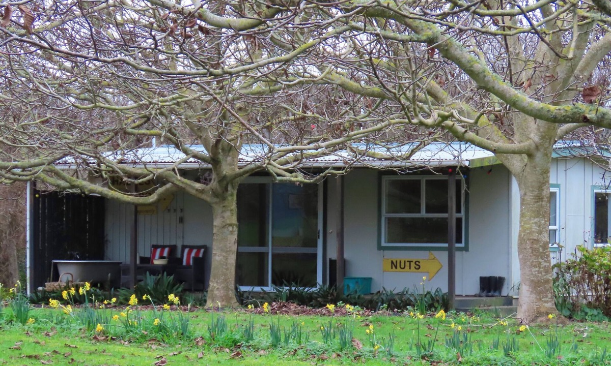 Kai Iwi Cottage | Nut Cottage