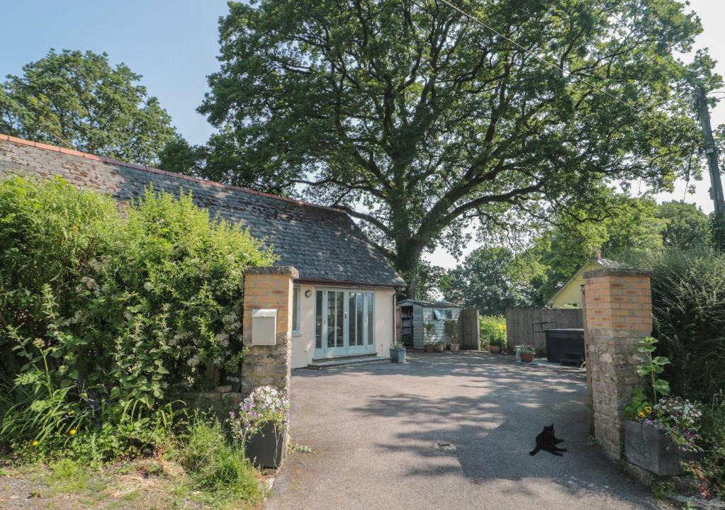 Honiton House | Nuthatch