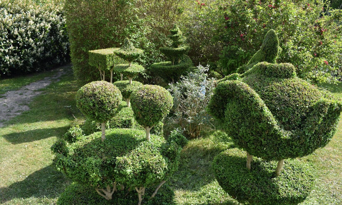 Stege Bed & Breakfast | NyGammelsø Bed and Breakfast