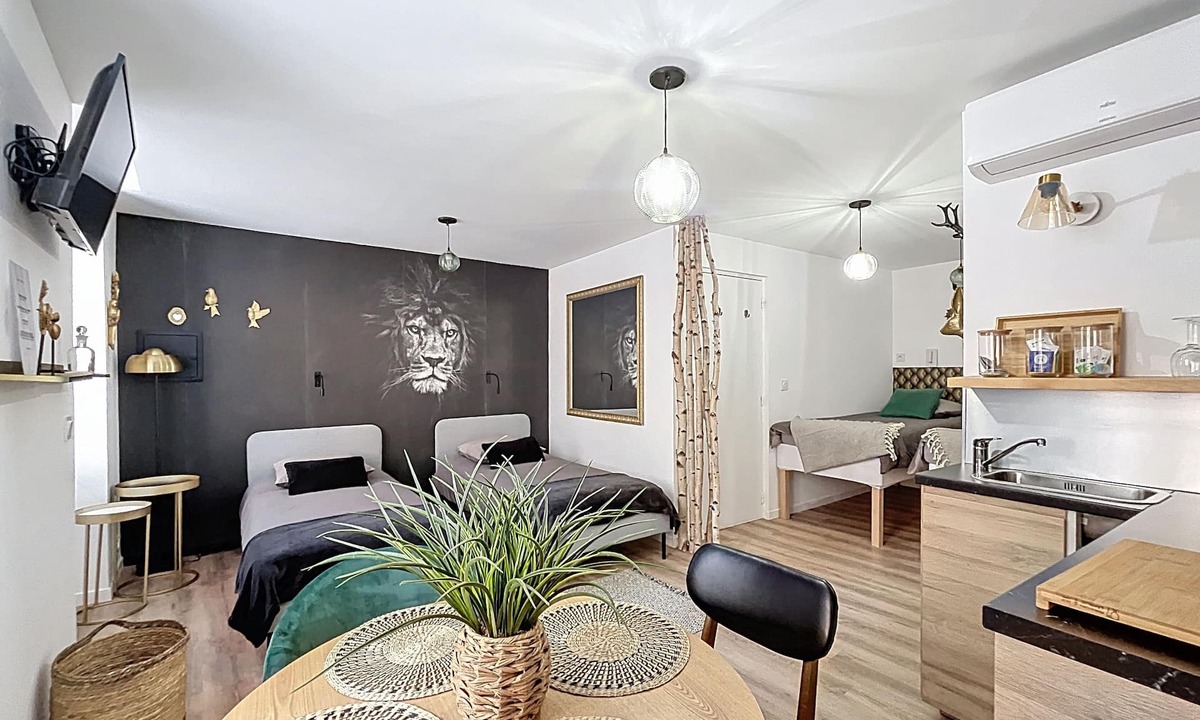 Tournon-sur-Rhone Apartment | O'Bercail Studio 1- 4 single beds +bike room- in the center of Tournon sur Rhône