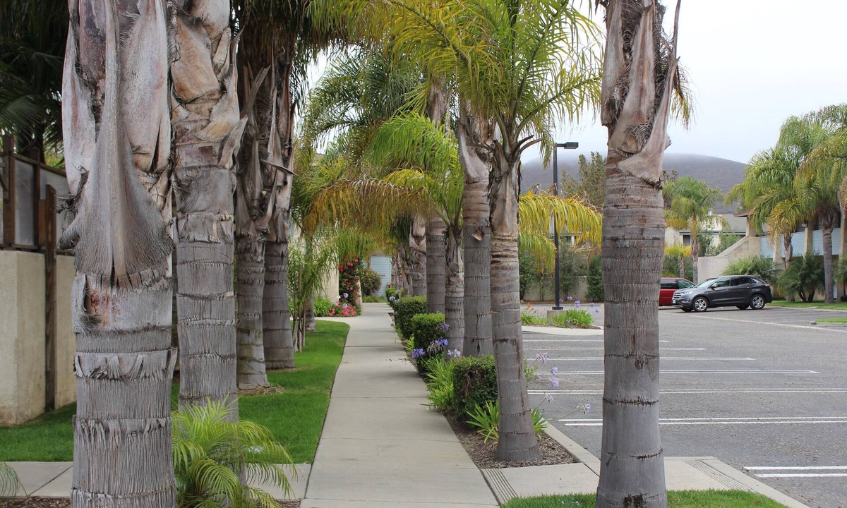 Lompoc Hotel | O'cairns Inn & Suites