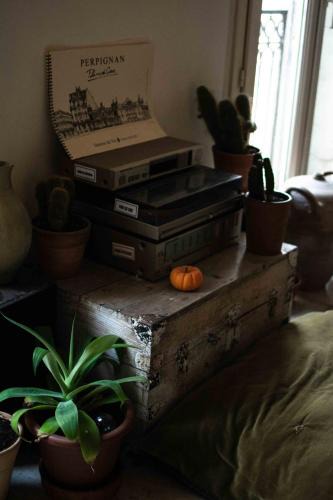 Saint-Mathieu Apartment | O Saudade - Centre Perpignan