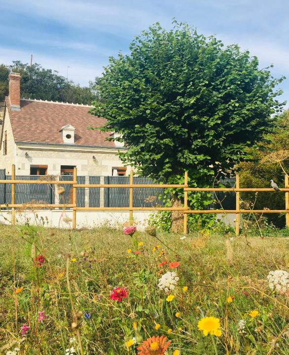 Chateauvieux House | o2cavesnerault