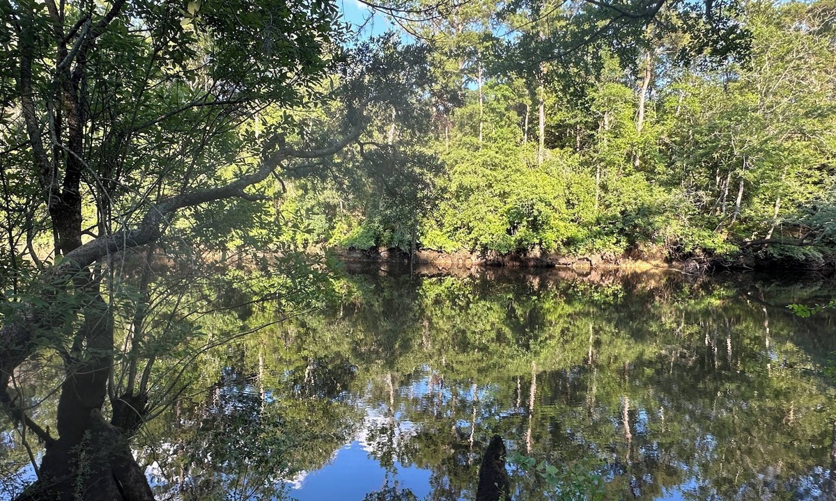Reidsville House | Oak Pine River House- Ohoopee River