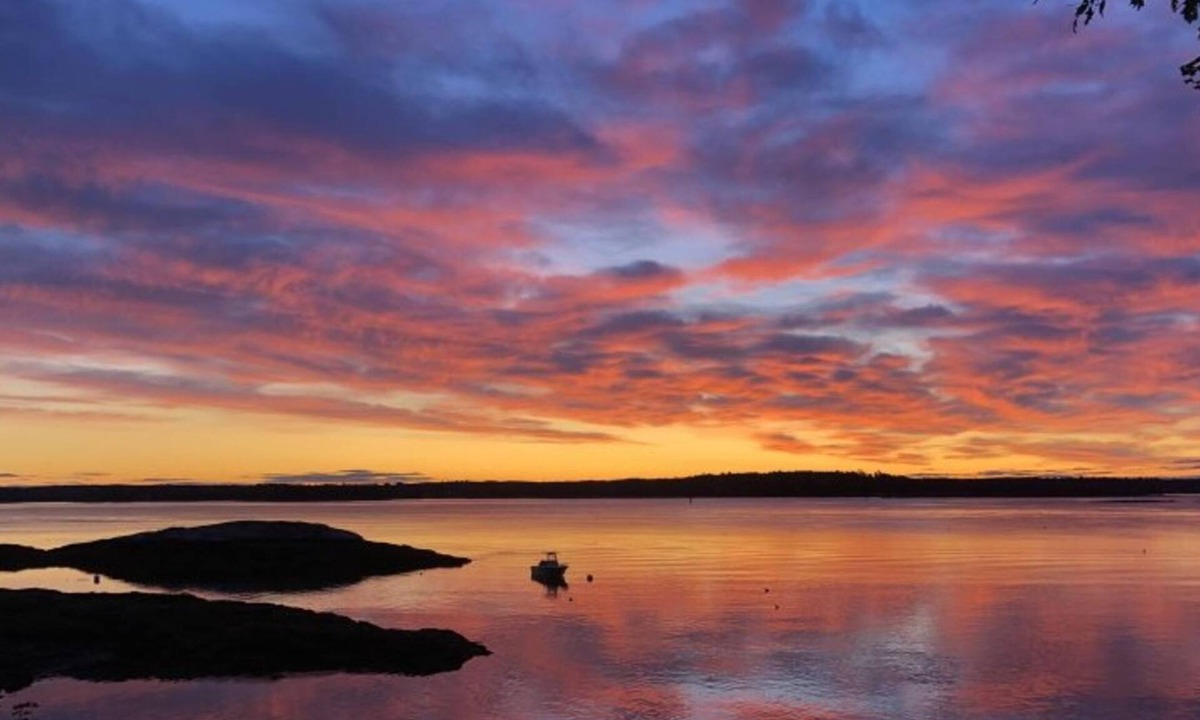 Mac Mahan House | OAK POINT CABIN | WATERFRONT | 2 Bed, 1 Bath