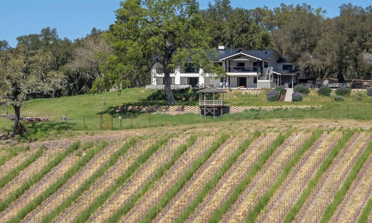 Templeton Other | Oak & Vine Vineyard House | Sleeps 21 | Views