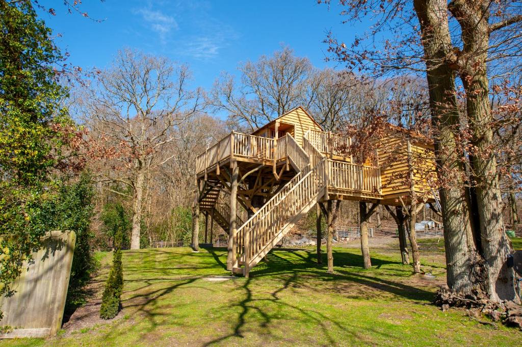 Upper Harbledown Cabin | Oakside Tree Tops