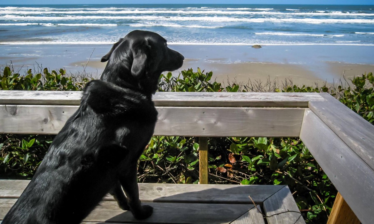 South Beach House | Ocean Escape