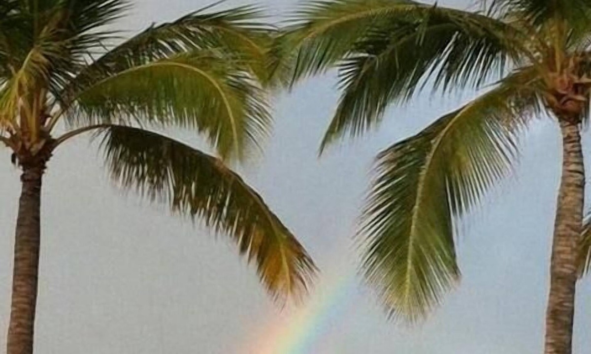 Makaha Condo | Ocean Front/Beach Front Condo in Beautiful Makaha