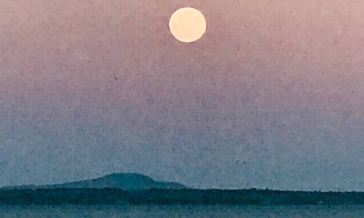 Belfast House | Ocean Front Home-Stone steps to Beach