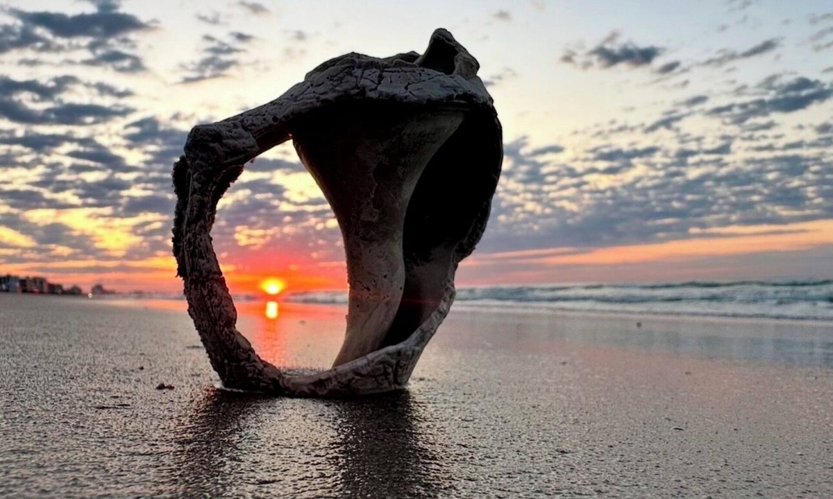 Myrtle Beach Condo | OCEAN FRONT SUNRISES. Summer escape for 2. King bed, spa shower, free parking