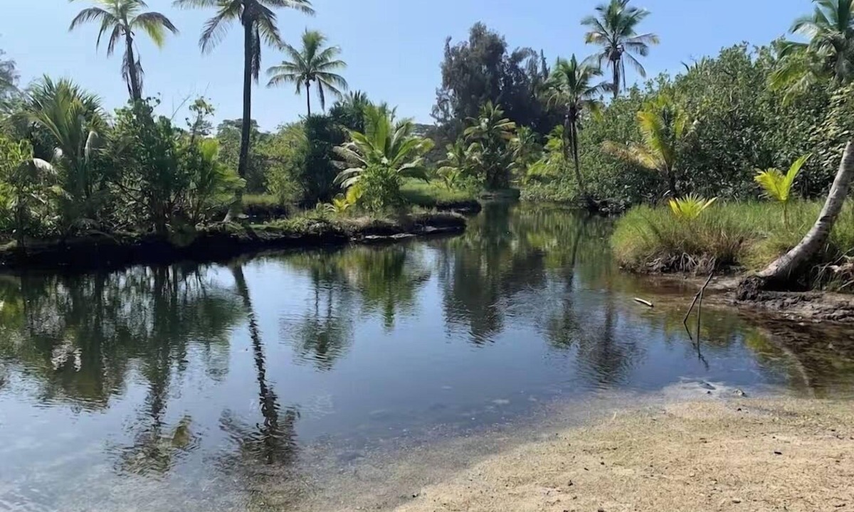 Keaukaha Condo | Ocean View 1BR Balcony Near Beaches and Downtown