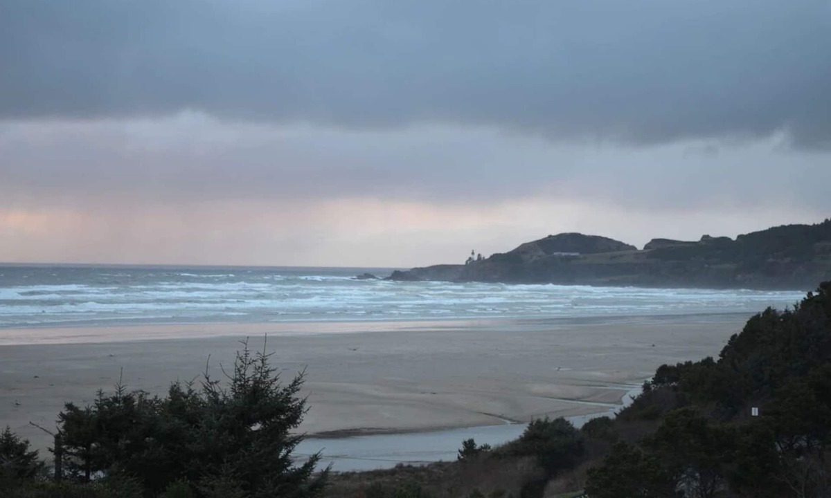 Newport Hotel | Ocean View Accommodation, Pet-friendly | Access to North Coast Highway 101