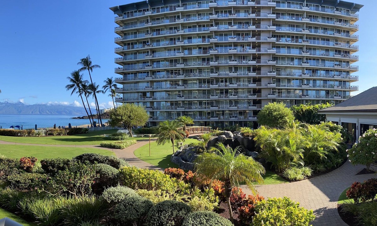 Kaanapali Condo | Ocean View Studio #264 - May 9-21, 2026 - 7 night minimum - SPECIAL