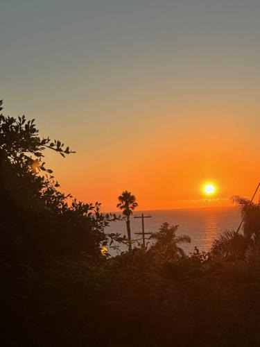 Sunset Cliffs Apartment | Ocean View with 2 Patios in Sunset Cliffs Point Loma