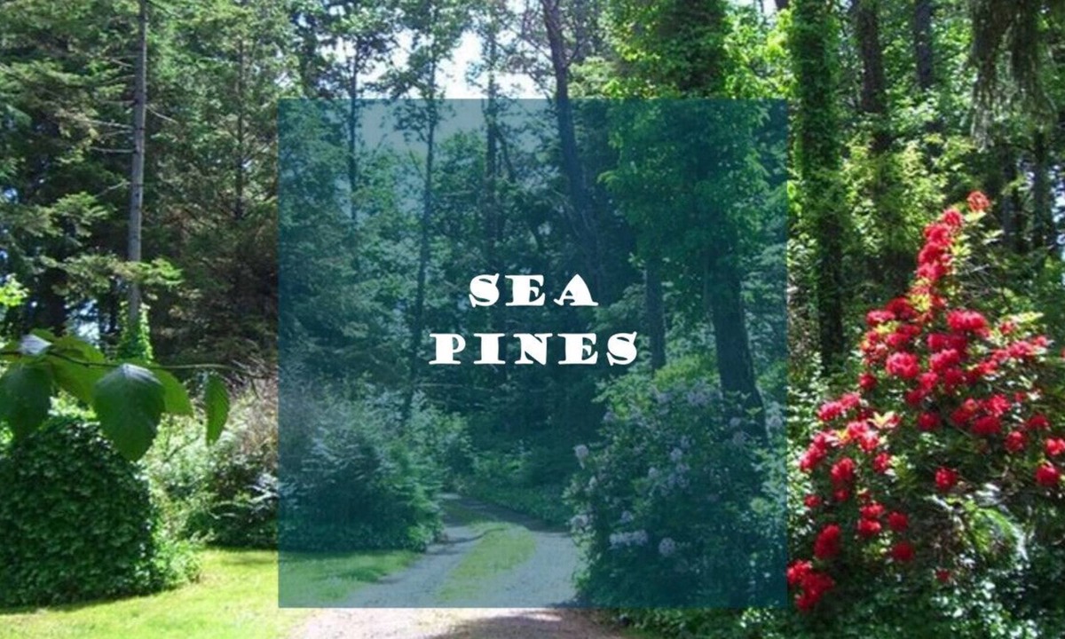 Klipsan Beach House | Ocean view with path to beach