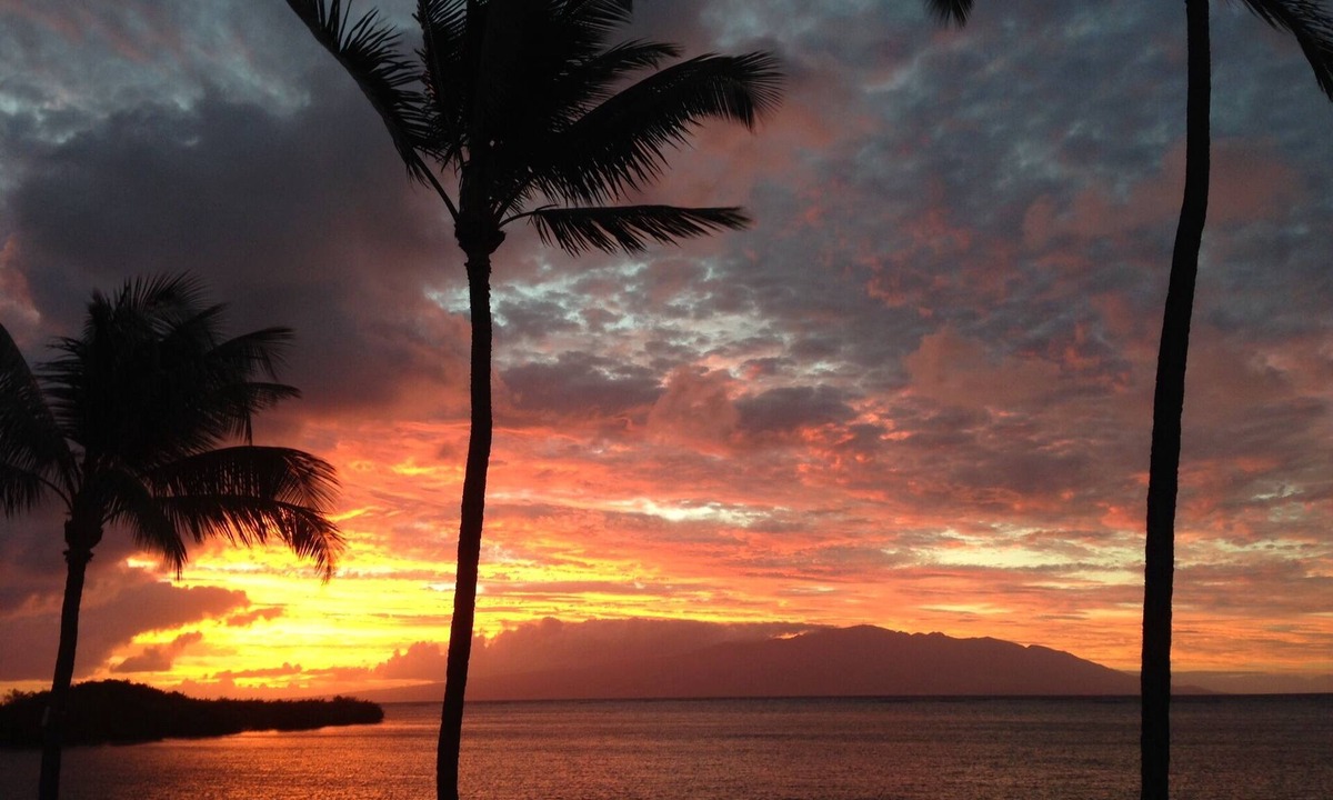 Ualapue Condo | Oceanfront-Tropically Furnished Condo-Comfy