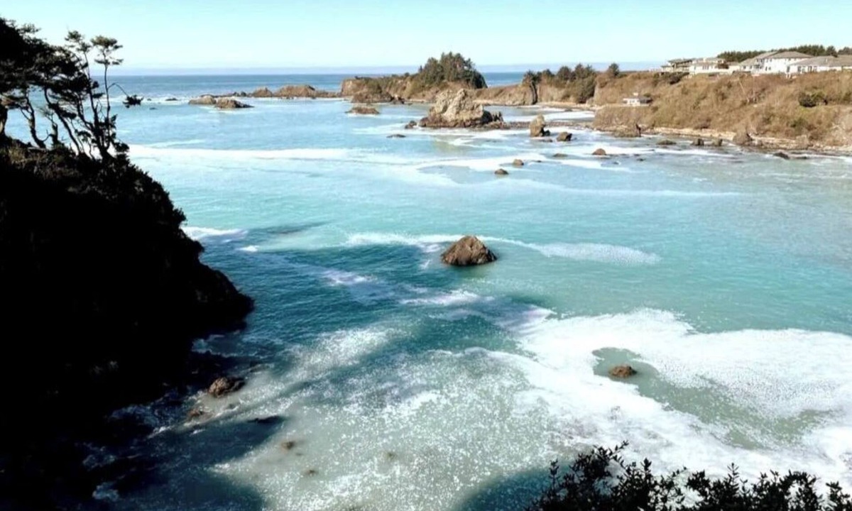 Brookings Apartment | OCTOPUS SUITE, fire pit, BBQ, wildlife viewing platform, shared oceanfront deck.