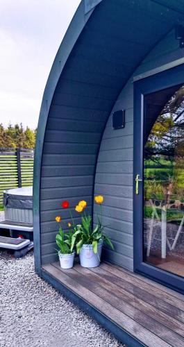 Welshpool Apartment | Odli Glamping - Deri