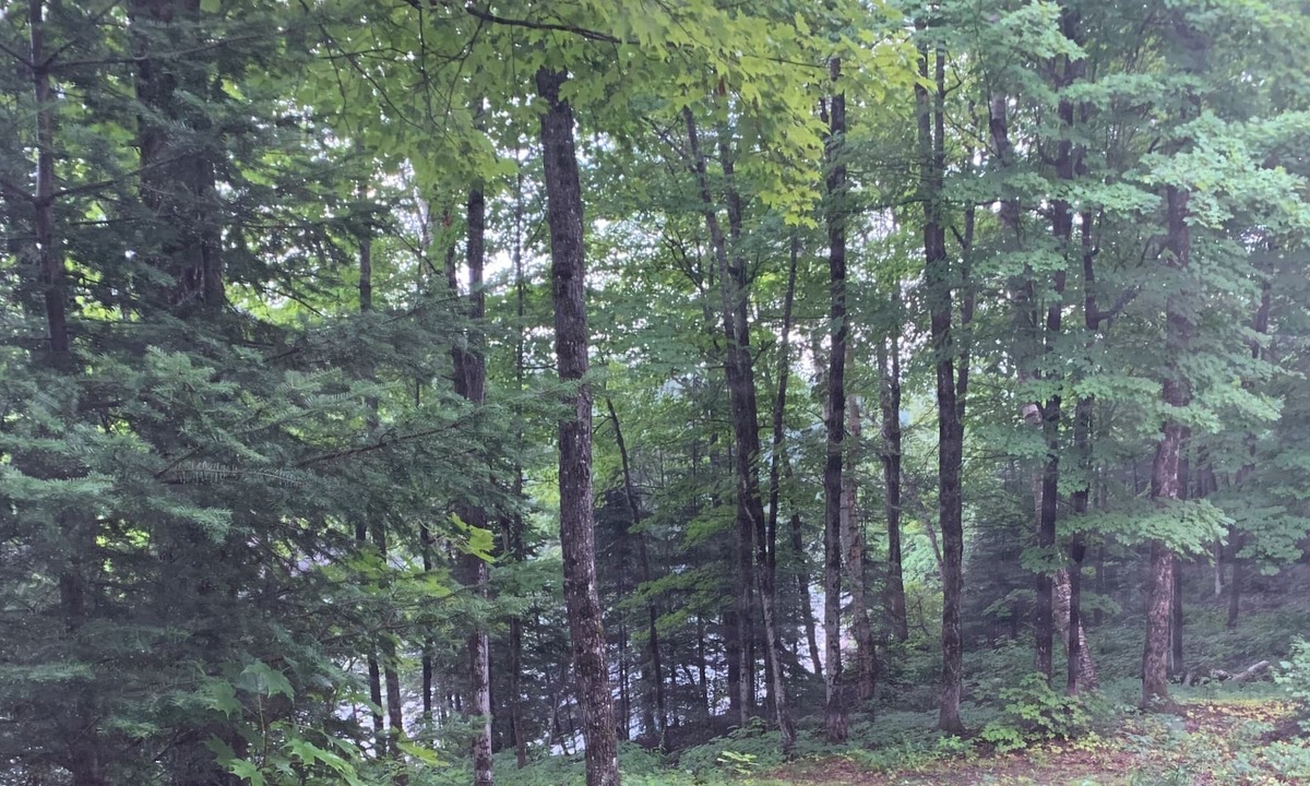 McDougall Cabin | Off grid, boat access fishing retreat.