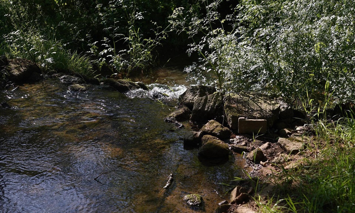Gillingham Cabin | Off-grid Cork Cabin With It's Own Island