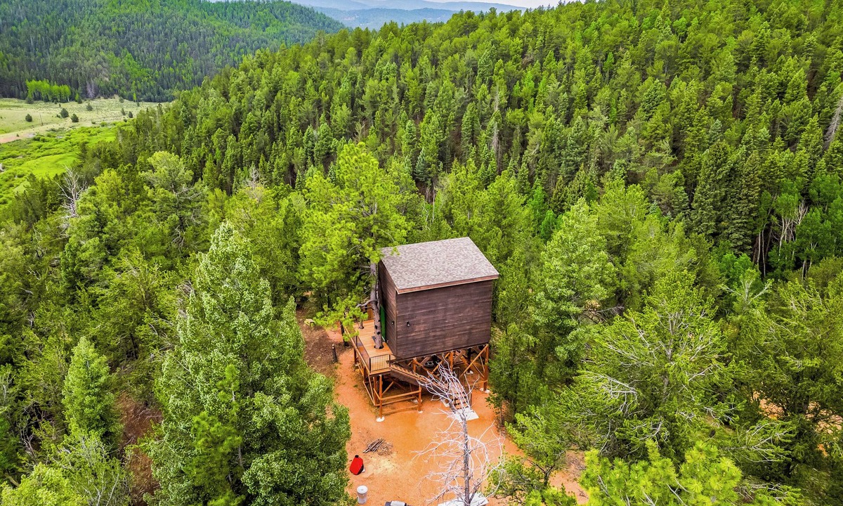 Divide Cabin | Off-Grid Tiny House Treehouse, re-live your childhood fantasy and dream!