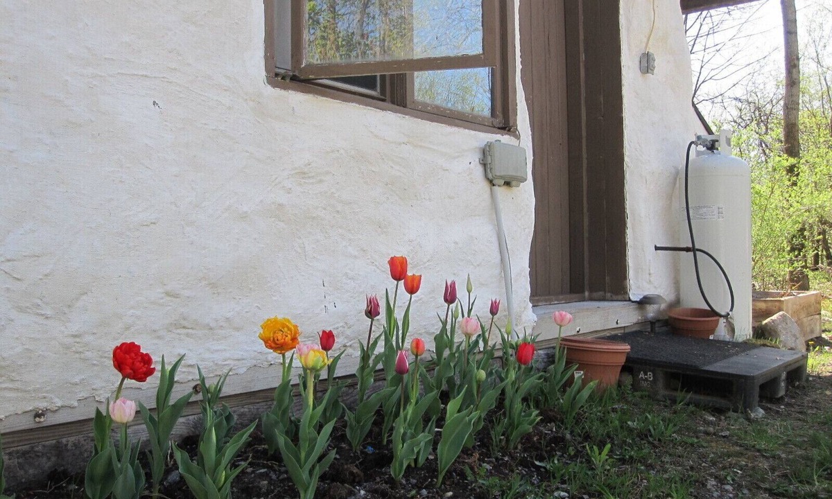 Limerick Cottage | Off Grid Waterfall Cottage