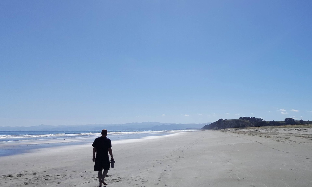 Waiotahi Apartment | Ohiwa Seascape Studios