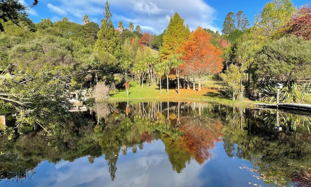 Nukuhou Cabin | Ohope/Opotiki Retreat