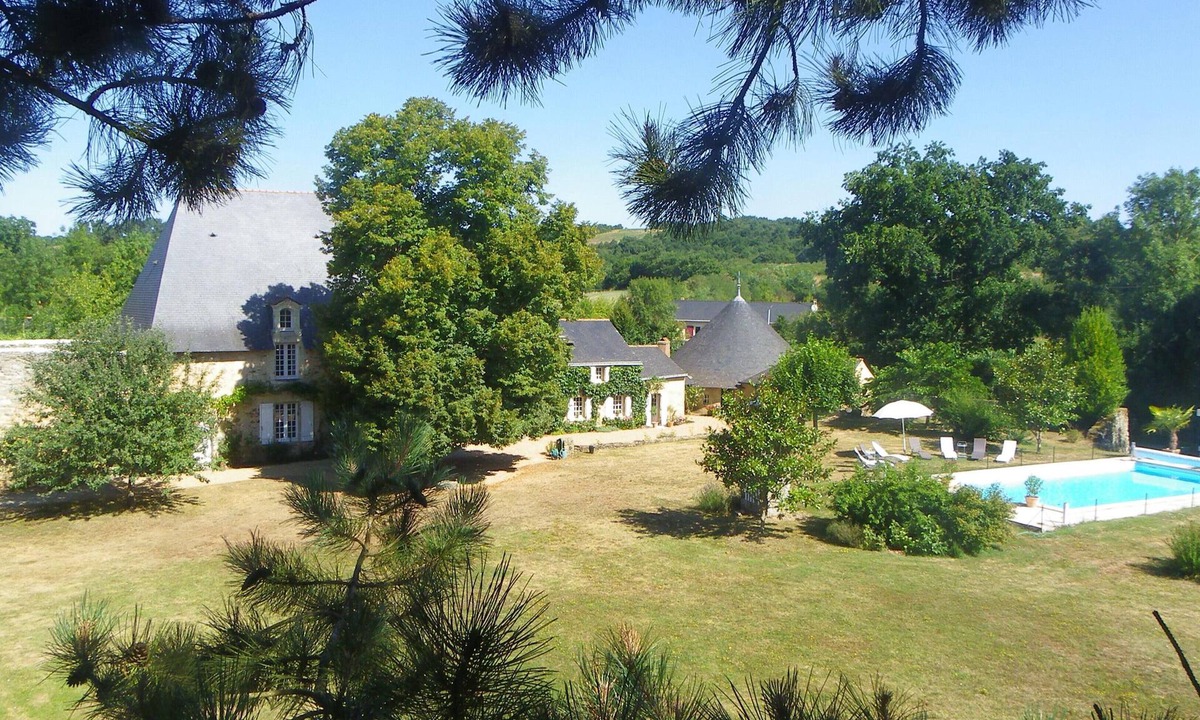 Faye-d'Anjou Other | Old castle in large private park with swimming pool
