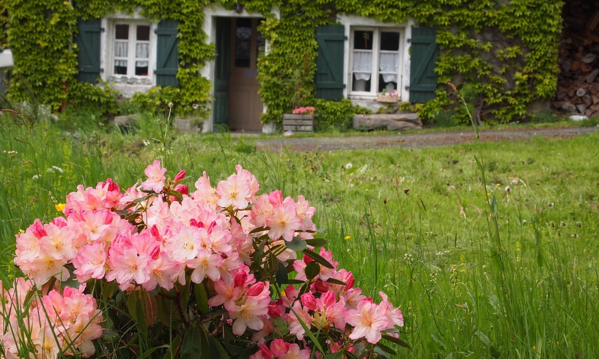 Bertignat Other | OLD FARM IN BIG PEACE