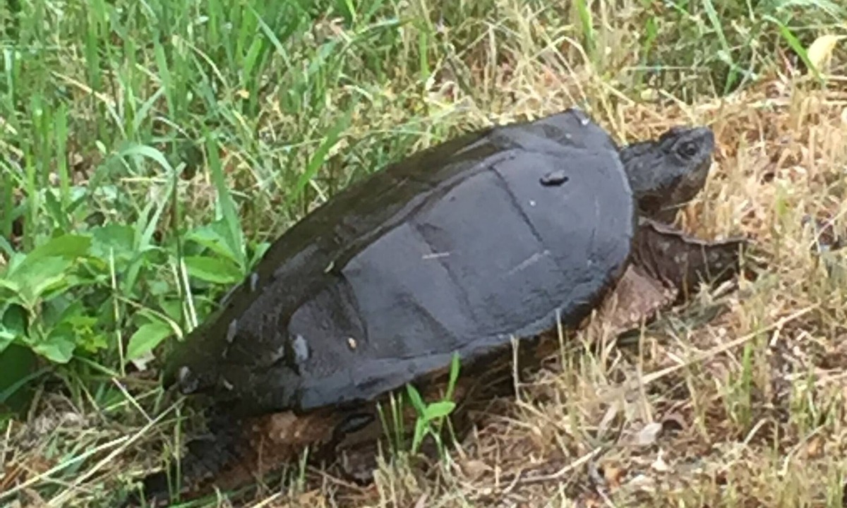 Seacoast Region Apartment | Old Lyons Mill Studio