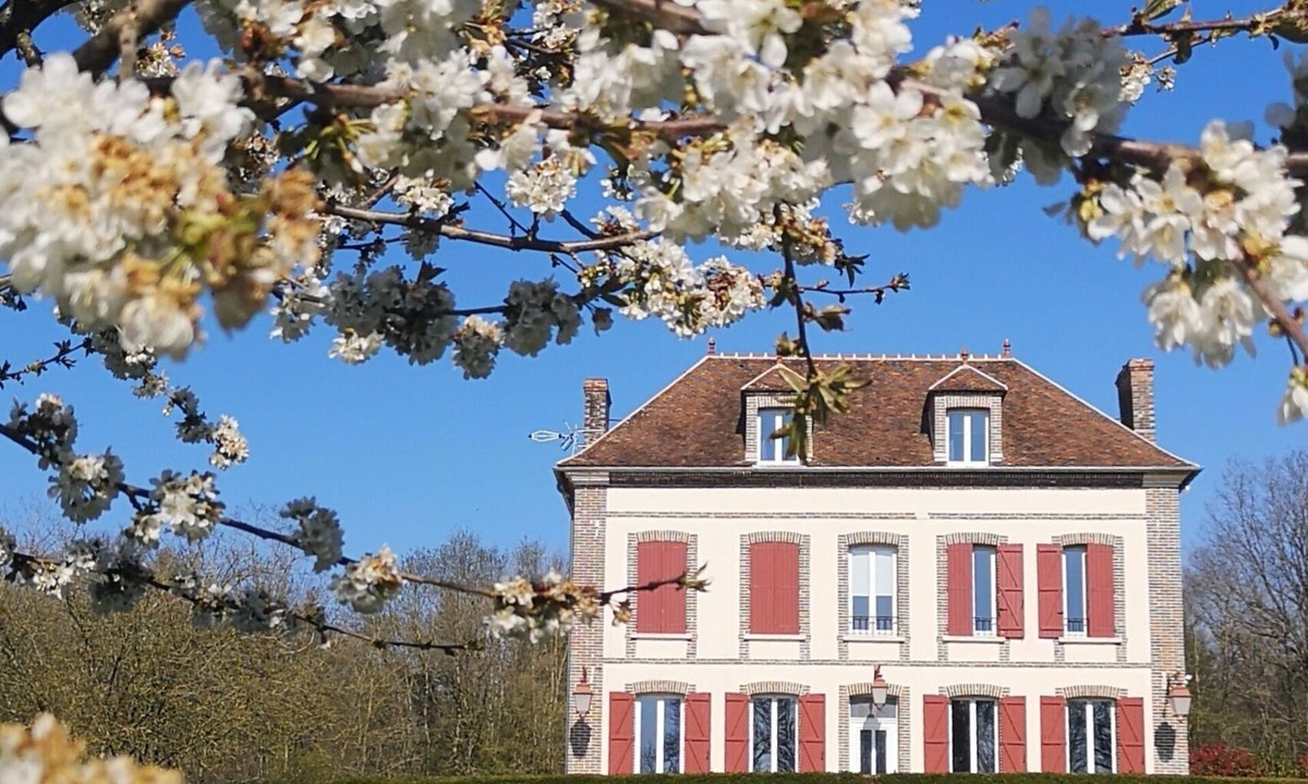 Villeneuve-sur-Yonne House | Old renovated tile in the forest