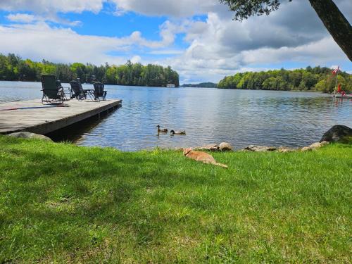 Minett House | Olga's Bay Lakehouse